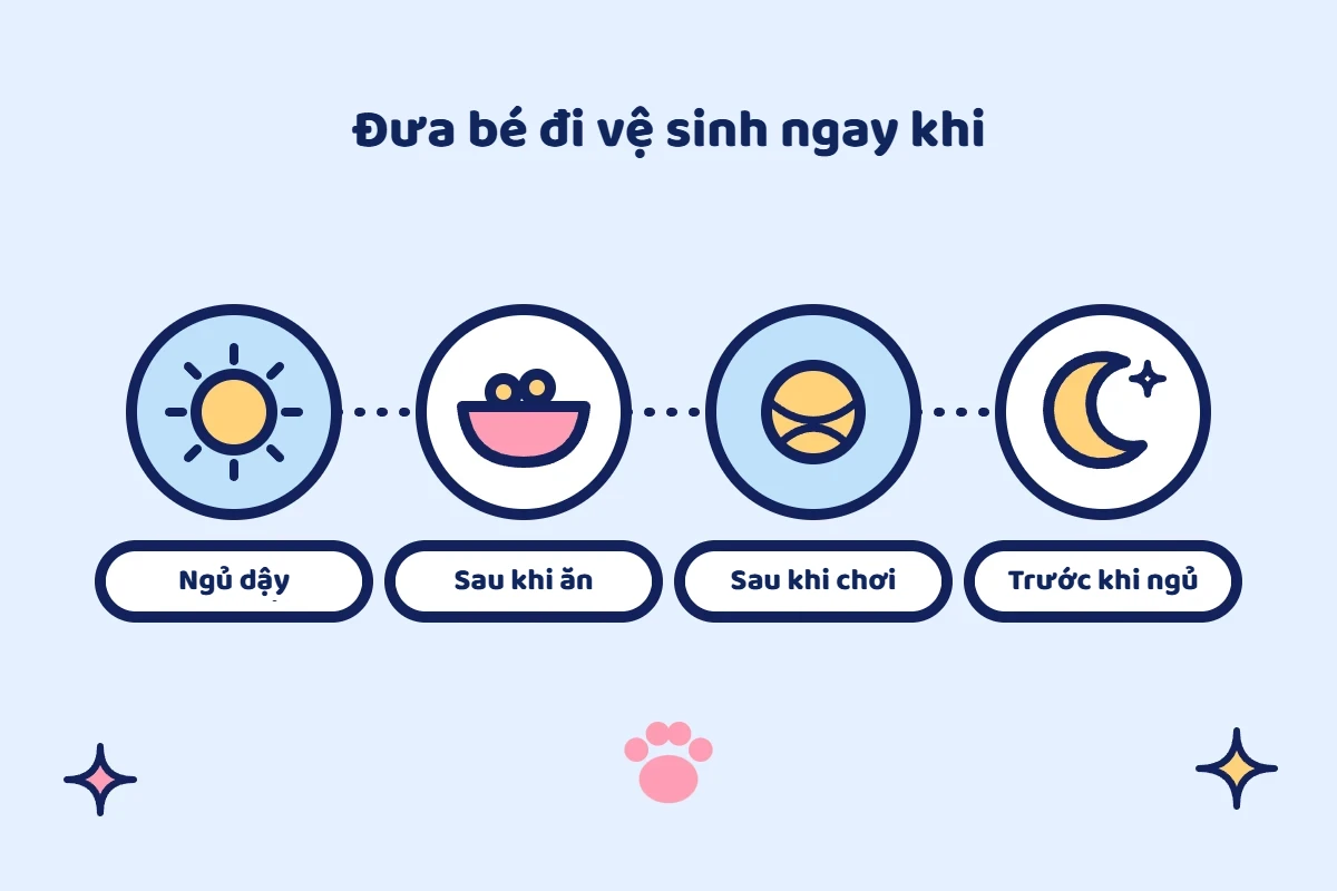 Minh họa 4 thời điểm đưa chó đi vệ sinh: ngủ dậy, sau khi ăn, sau khi chơi và trước khi ngủ
